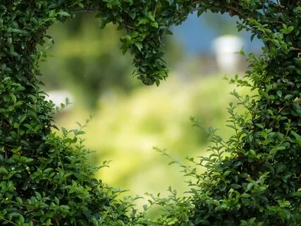 Breathing Through The Heart