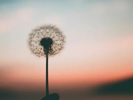 Breathing To Calm The Mind And Find Clarity