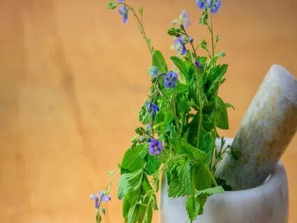 Breathing To Heal Our Cells