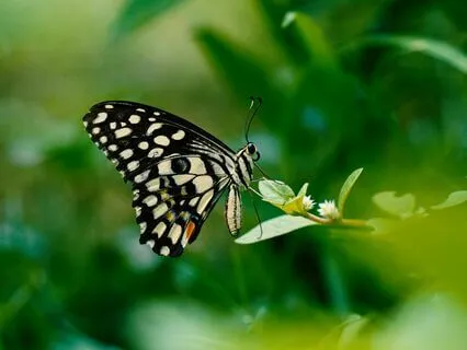 Breathing To Restore And Revitalize