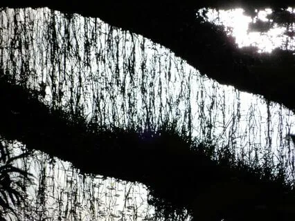 Breathing Together Consciously