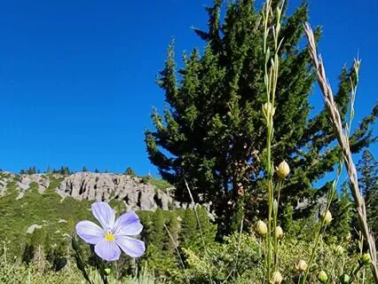 Breathing Together...