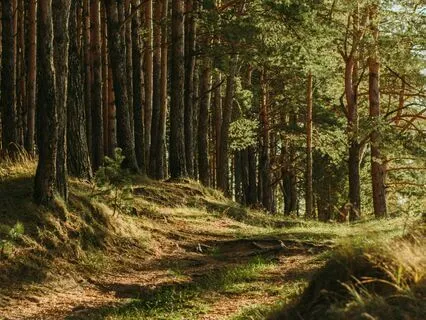 Breathing Visualisation Meditation