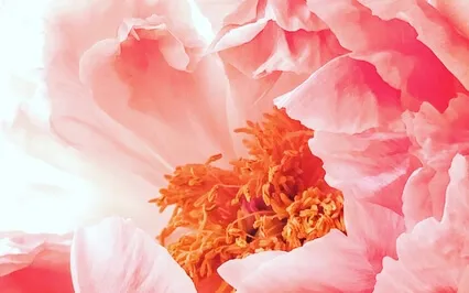 Breathing Visualization To Clear Stuck Energy