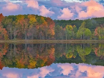 Breathing With Equanimity