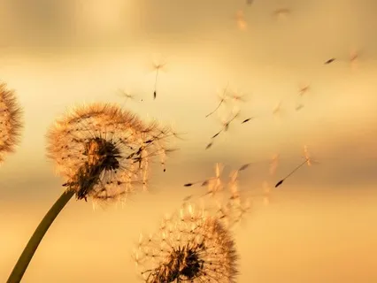 Breathing With Kindness