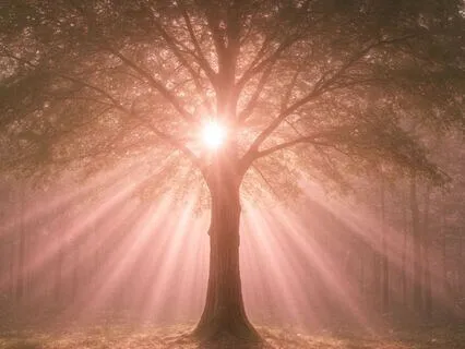 Breathing With Light Meditation