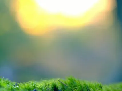 Breathing With The Earth