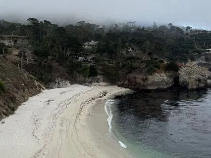 Breathing With The Ocean