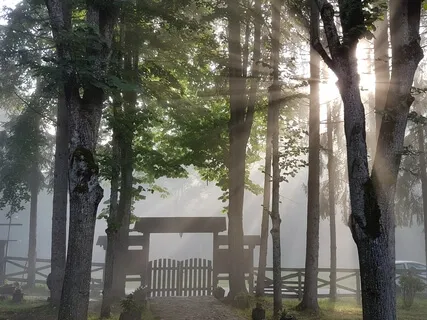 Breathing With The Whole Body