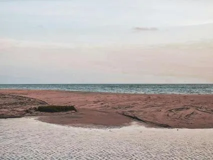 Breathing With The Whole Body