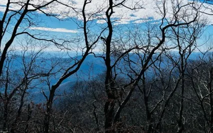 Breatholding Basics/CO2 Tolerance For Beginners