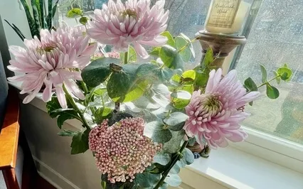 Breathwork & Journaling For Spring: Newness, Affirmations