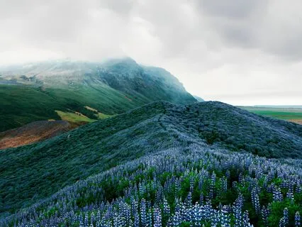 Breathwork Bliss: Shamanic Rhythms