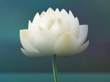 Breathwork Break ~ Reset And Refocus