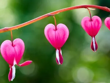 Chakra Balancing Breathwork