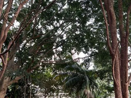 Deepen Your Calm: A Restorative Breathwork Flow