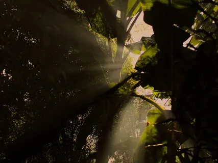 Breathwork For A Sacred Morning