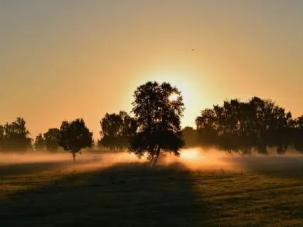 Breathwork For Abundance: 22 Minute Energy Reset