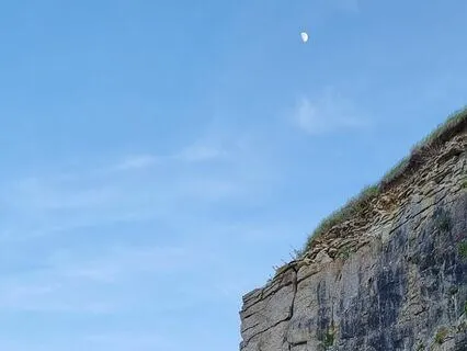 Breathwork For Clarity