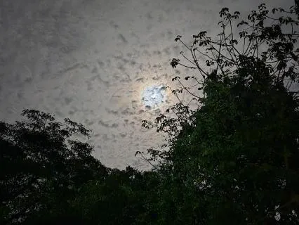 Breathwork For Sleep: Fall Asleep Quickly