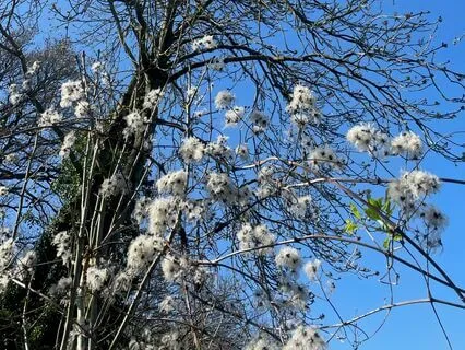 Breathwork for Gratitude