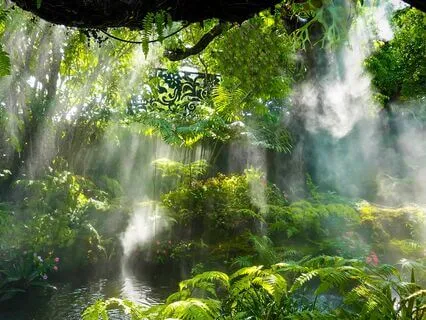 Breathwork For Grounding & Prescence