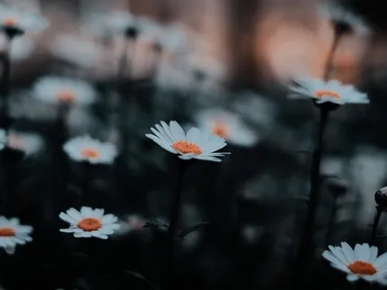 Breathwork For Healing 