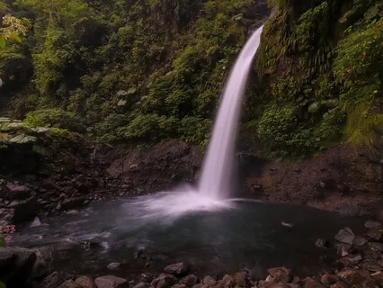 Breathwork For Immunity