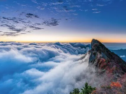 Breathwork For Nervous System Resilience