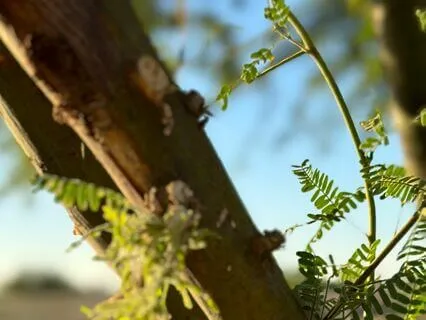 Breathwork For Relaxation