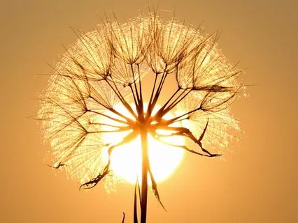 Breathwork For Self Expression