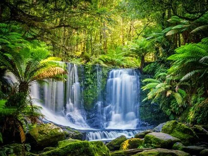 Breathwork For Stress & Anxiety Relief