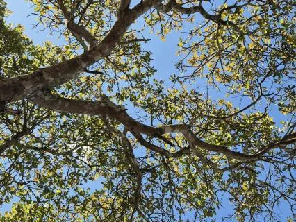 Breathwork For Stress Relief