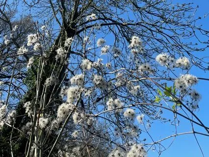 Breathwork For The Inner Child