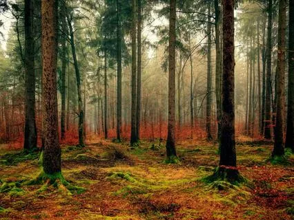 Breathwork For Unveiling Masks & Conditioning