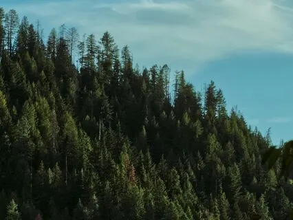 Breathe Into Ease - A Vagus Nerve Practice