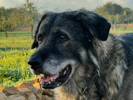 Breathwork: How To Breathe Through Grief, Sorrow, Sadness