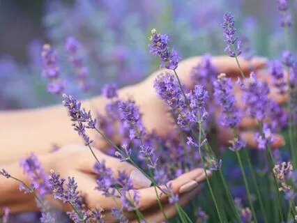 Breathwork Journey Calm, Balance And Mental Clarity