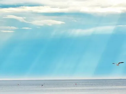 Breathwork Journey For Achieving A Flow State