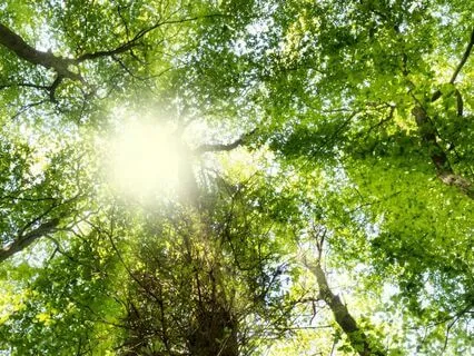 Breathwork Journey For Serenity, Relaxation And Peace