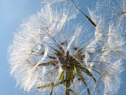 Breathwork Meditation 2 – Cutting Cords