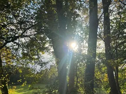 Breathwork Meditation With Natural Background