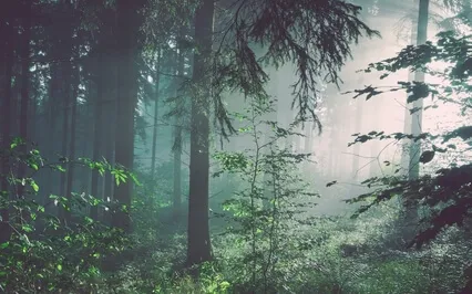 Breathwork Meets IFS Parts Work