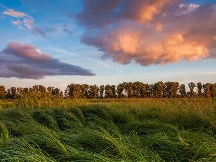 Breathwork Music: Erase Anxiety