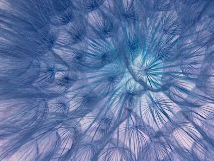 Breathwork Practice Of Complete Or Three-Part Breath