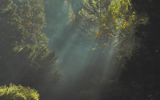 Breathwork Stress Relief