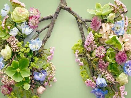 Breathwork To Bio-Hack Your Breath (30-45-60)