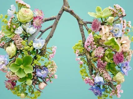 Breathwork To Bio-Hack Your Breath (Beginner Friendly)