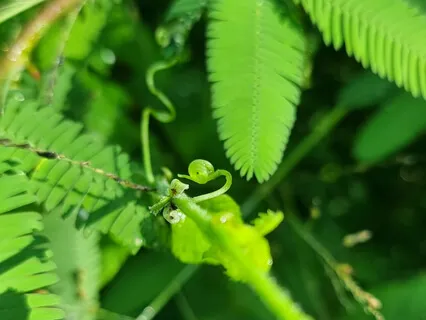 Breathwork To Detox And Release Stress